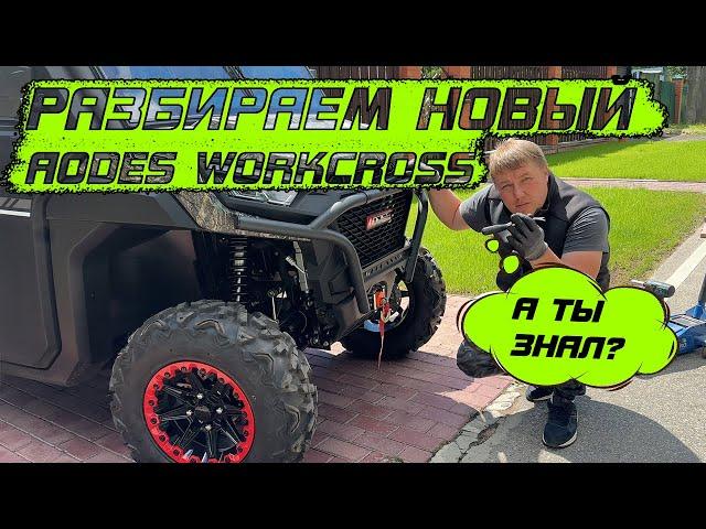 Скопировали как надо! Разобрал новый Aodes workcross 1000