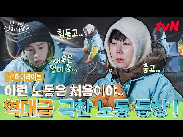 역대급 극한 노동이 찾아왔다ㄷㄷ 사 남매의 노동 체험기 #highlight #언니네산지직송2 EP.1