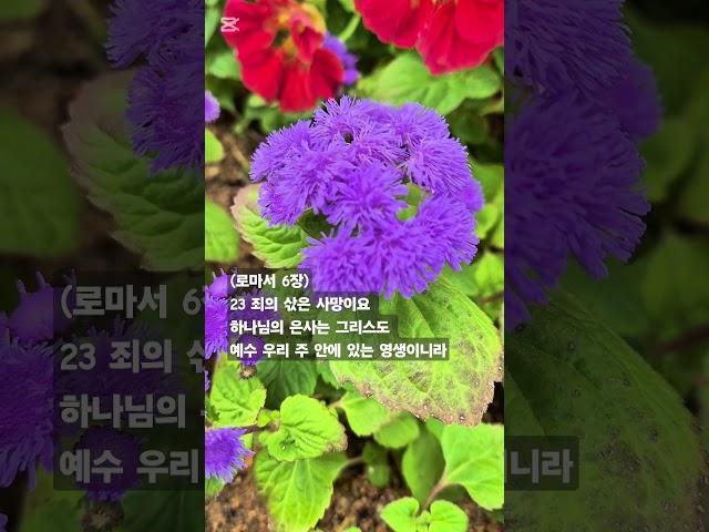 말씀찬양 롬 6:23 주와 함께 죽고 주와 함께 살리라