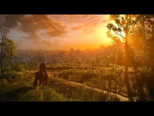 The Witcher 3 (FULL RELAXING MUSIC COMPILATION) | Mankai [Music and Ambience]