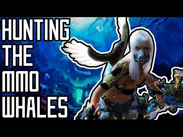 The World of MMO Whales