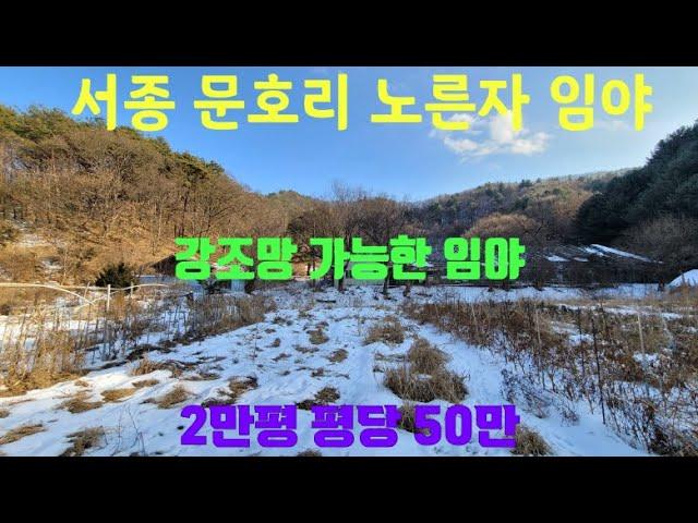 서종 문호리 강조망임야/양평토지급매물/양평토지급매매/양평임야급매물/양평전원주택급매물/양평전원주택급매매