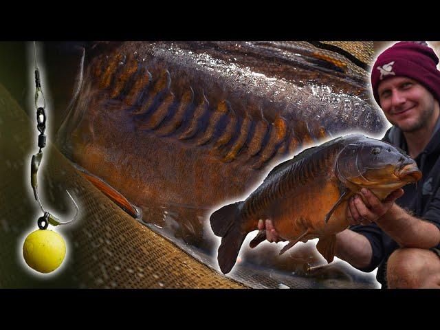 Carp Fishing -When It All Comes Good- The Highs and Lows- In Session with Kev Hewitt 