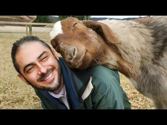 Love of Animals Moments That Will Cure Your Depression!