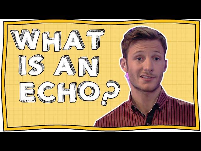 What is an Echo? | Horrible Science | Nugget