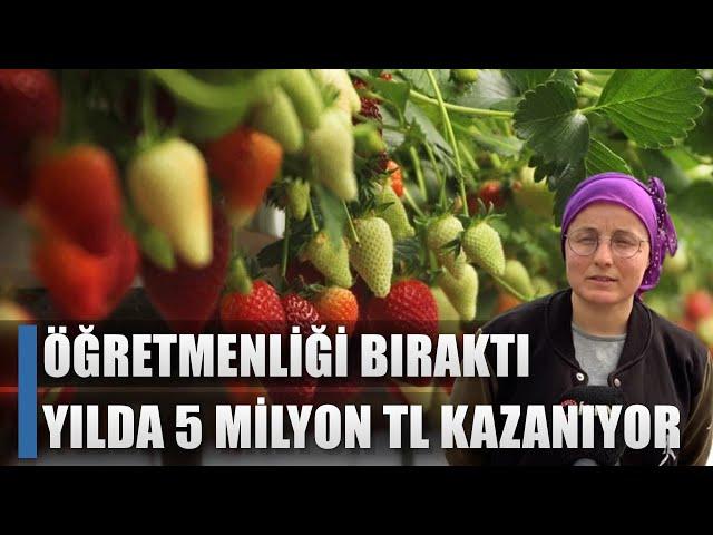 Öğretmenliği Bıraktı Yılda 5 Milyon TL Kazanıyor! Topraksız Tarımla Üretim! / AGRO TV HABER