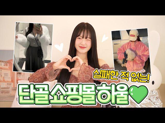 실패한적 없는!! 나의 최애 단골 쇼핑몰 하울 ft.봄패션하울