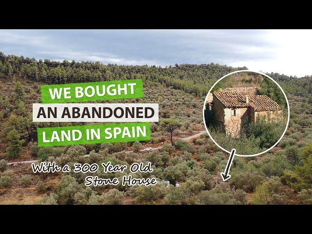 We Bought an ABANDONED LAND in Spain with a 300-Year-Old STONE HOUSE