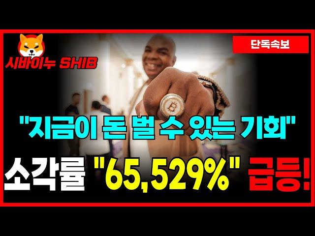 [시바이누 코인] 지금이 기회다! 소각률 "65,529%" 급등! "여기"까지 빠졌다가 "이때"부터 폭등합니다!