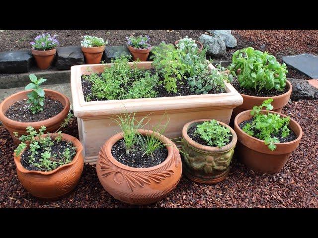 How to Plant a Culinary Herb Garden! DIY Kitchen Garden