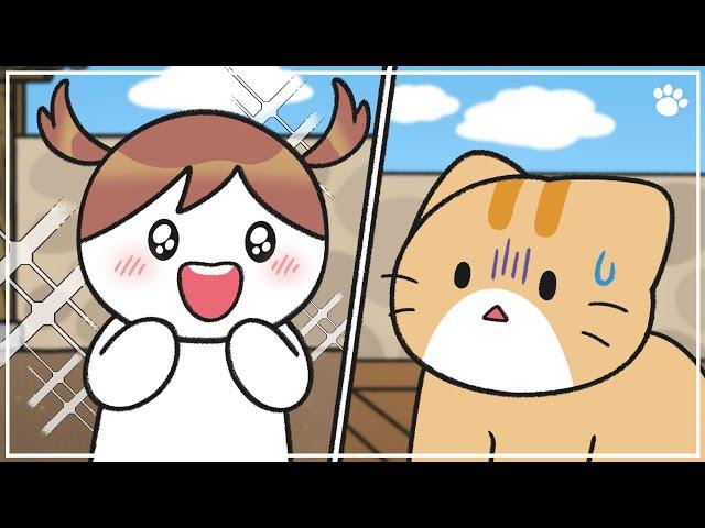 (슬픔주의) 우리 집 고양이 이야기 해볼게 | 알레그라X비마이펫
