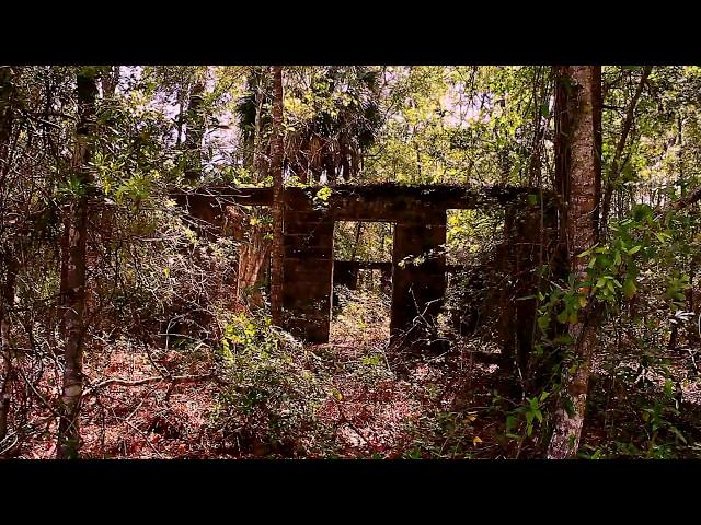Lost to rot abandoned  in Florida