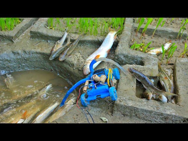 Catch fish using mini water pump motor | fishing in Nepal | fish video@sunfarming7533