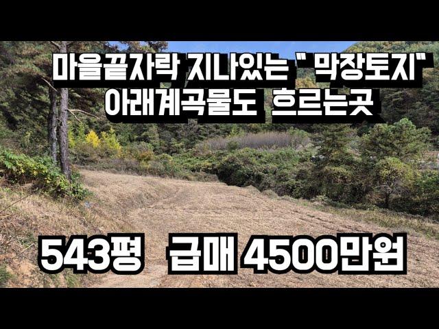 708번)막바지 막장토지 산으로 둘러쌓여 있는 주말쉼터 토지