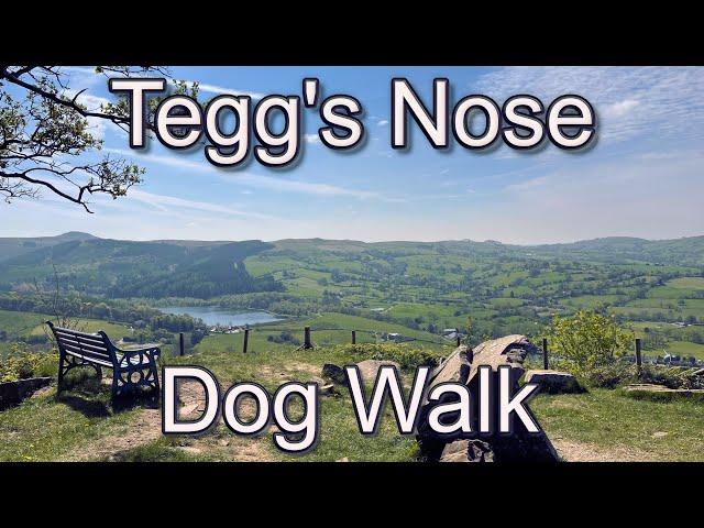 Tegg's Nose a Gritstone Family and Dog Friendly Walk