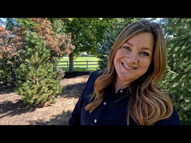 How to Establish a New Leader in a Tree & Planting Perennials! ️ // Garden Answer