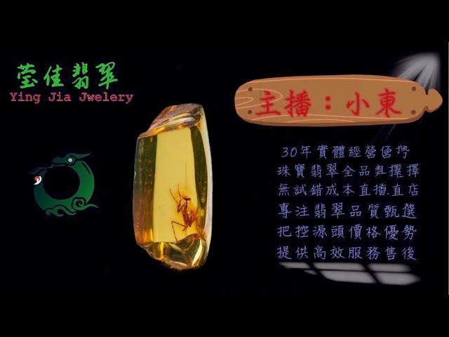 2024.12.11 早｜莹佳翡翠｜小東直播｜珠宝翡翠｜珠宝戒指｜jewellery jadeite｜翡翠戒子｜翡翠蛋面｜满色翡翠｜天然A货翡翠｜翡翠投资｜直播代购｜顶级翡翠｜高级翡翠｜首饰