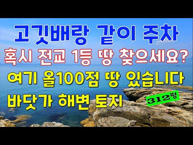 앞 구르기 한번에 바다.해변의 노른자 땅!수채화 같은 풍경에 올 100점 토지.