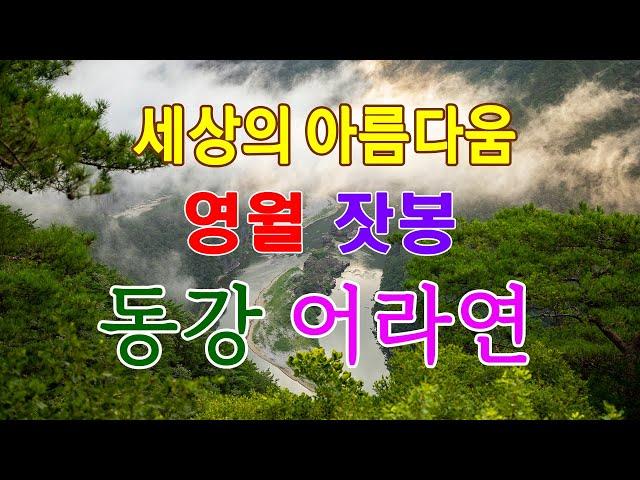 영월 잣봉 동강 어라연/ 세상의 아름다움 영월 어라연과 정선의 몰운대를 소개합니다