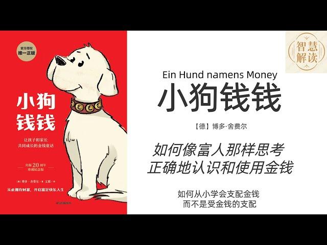 《小狗钱钱》解读，每天听本书，听书，Chinese audiobook，youshengshu，audiobook，有声书，投资、理财，Ein Hund Namens Money