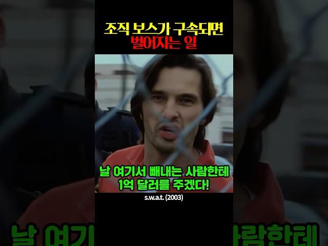 조직보스가 구속되면 벌어지는 일