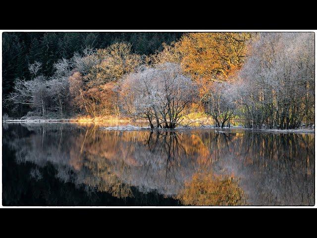 Beautiful light, mystery sounds and getting recognised!