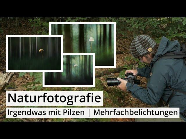 Naturfotografie: PILZE etwas anders fotografieren | DOPPELBELICHTUNGEN | Irgendwas mit Pilzen