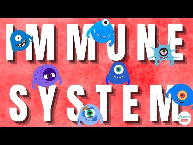 Immune System: Innate and Adaptive Immunity Explained