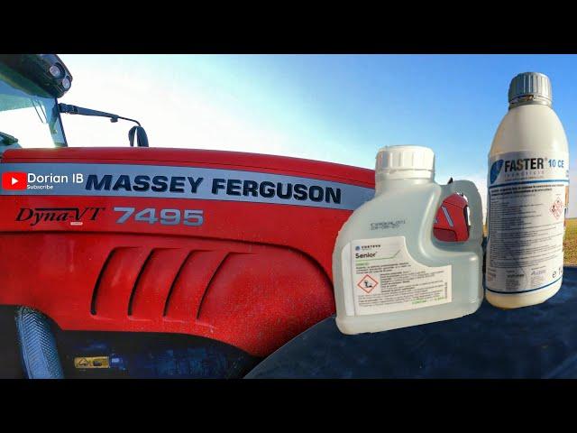 Tratament grau orz Toamna #Erbicid #Insecticid #Fungicid #tractorvlog Massey Ferguson 7495