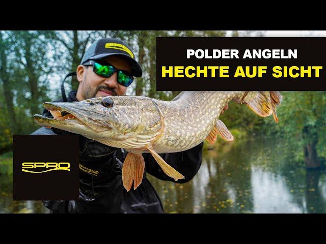 Hecht angeln im Herbst - Angeln im flachen Polder