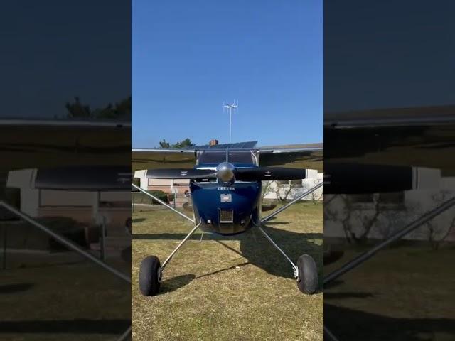 What a Beauty ️Cessna 170 taildragger  #shorts #taildragger