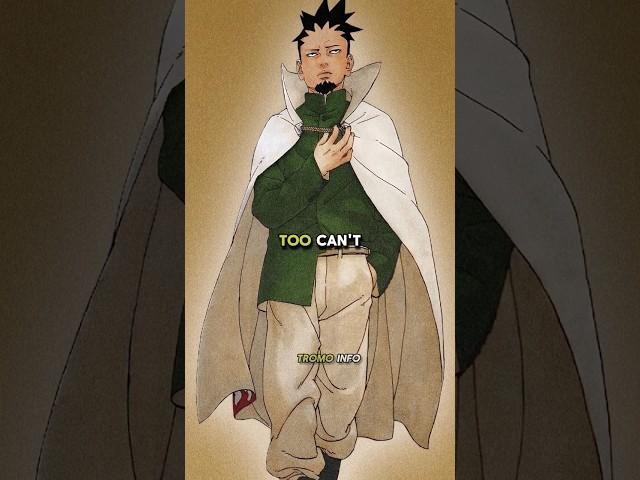 Why is Shikamaru not the best choise for becoming the 8th Hokage...