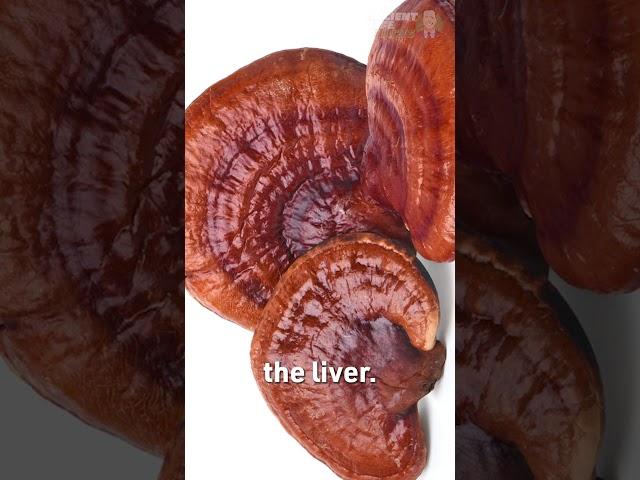 Unlocking the Power of Reishi Mushrooms: Nature's Liver Support!