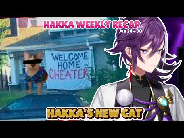 Hakka's New Cat -  Hakka Weekly Recap 2024 [26]