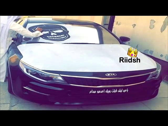 ١١ فبراير، ٢٠١٩