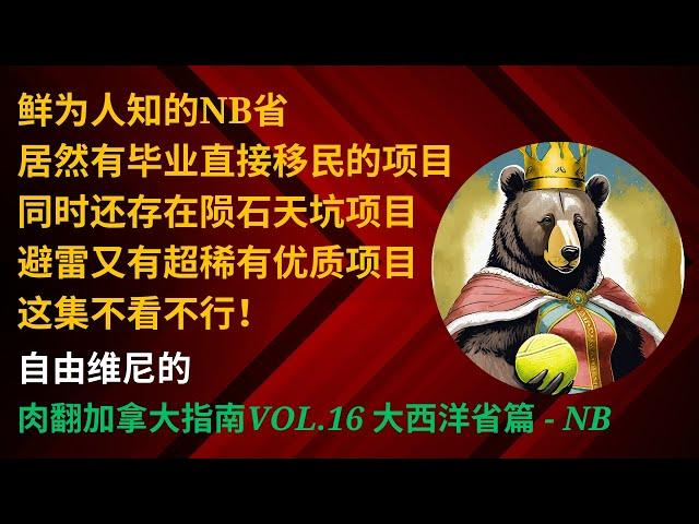 NB省居然有毕业直接移民的项目？不再是BC省硕博类专利｜同时也要避开一个天坑项目｜看了绝对有收获的一集｜【肉翻加拿大指南Vol.16】- NB篇