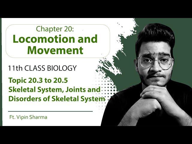 Topic 20.3 to 20.5: Skeletal System, Types of Joints & Disorders of Skeletal System |11th Physiology