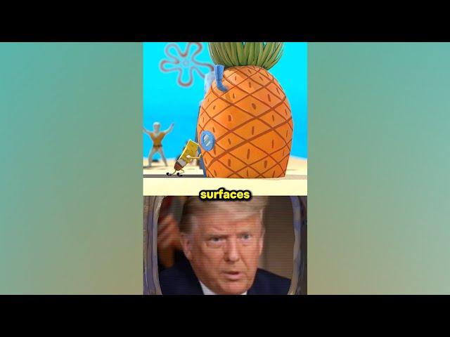 Trump and Biden Teach Friction in Bikini Bottom