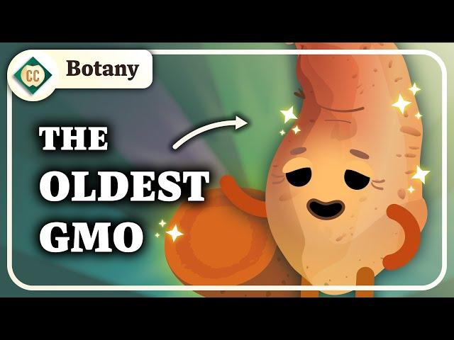 GMOs are Nothing New: Plant Breeding & Gene Editing: Crash Course Botany #11