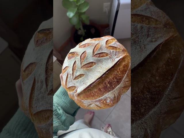 #breadscoring #sourdoughbread #bread #homemaker