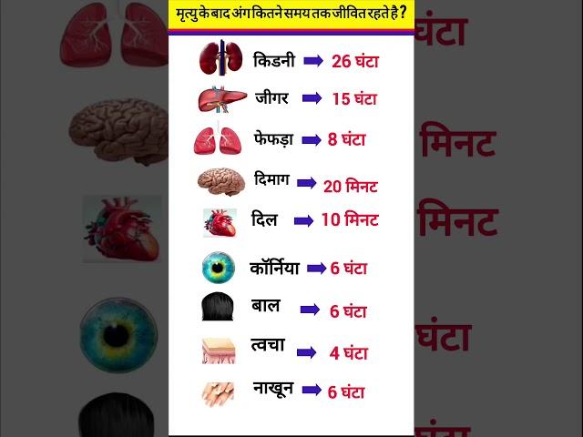 Biology GK Questions #gk #gkinhindi #gkquestion #upsc #shorts #shortvideo #ytshorts #youtubeshorts