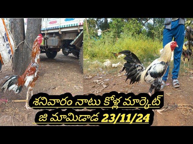 శనివారం నాటు కోళ్ల మార్కెట్ జీ మామిడాడ ||Kollamarket # Murga market # 23.11.24