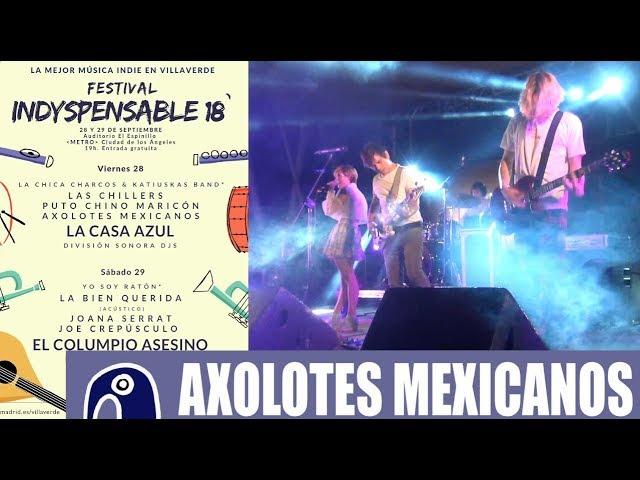 AXOLOTES MEXICANOS en VILLAVERDE INDYSPENSABLES