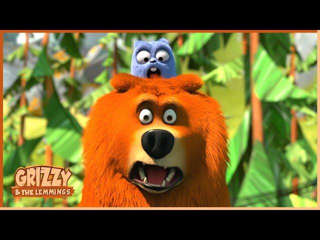 Get Off My Tennis Shoes | Grizzy & the lemmings (Clip) |  Cartoon for Kids