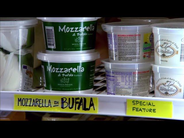 Water Buffalo Mozzarella Cheese - Grocery Bag