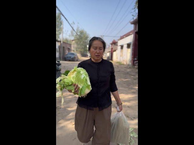 河南人爱吃的地锅熬菜，清香中午做一顿，全家人吃的美美哒 #新农人计划2024 #农村生活