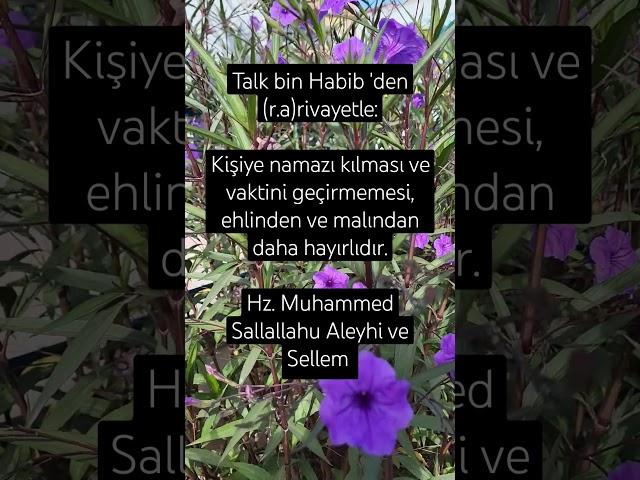 Allah'ım, bizi namazı vaktinde kılan kullarından eyle.Âmin. #keşfet #amin #ayet #dua #öneçıkar