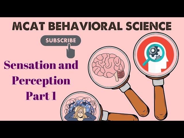 MCAT Behavioral Science: Chapter 2 - Sensation and Perception Lecture (1/1)