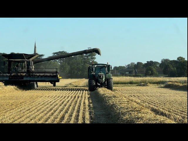 Revesby Estate Farms Update September 2024