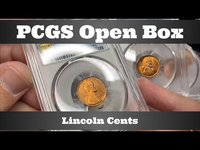 PCGS Open Box - Lincoln Cents